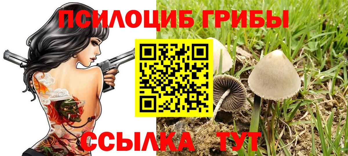 Галлюциногенные грибы MAGIC MUSHROOMS  Галлюциногенные грибы Magic Shrooms  Лениногорск  Вход с VPN 