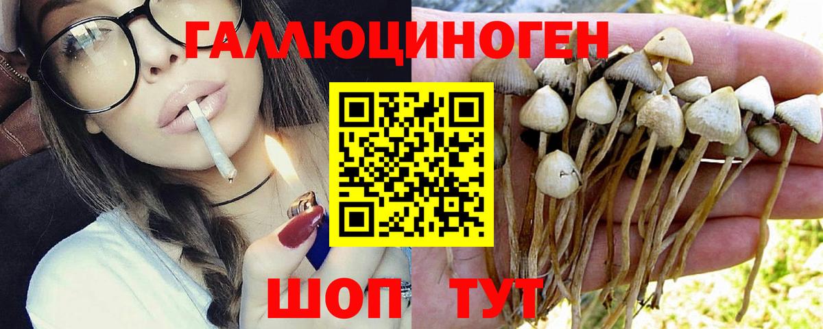 Псилоцибиновые грибы мицелий Лениногорск